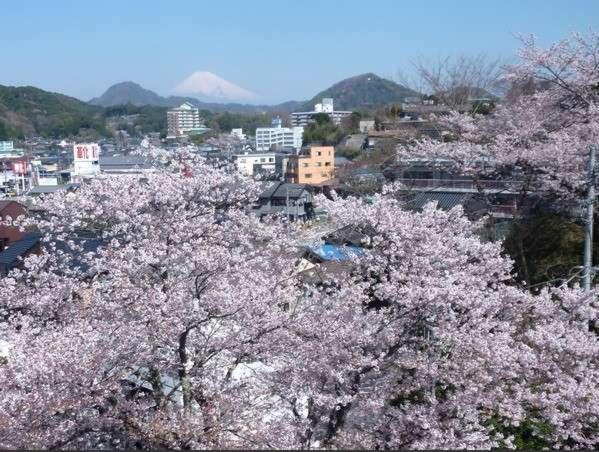 Hotel Kameya Ean Izunokuni Exterior foto